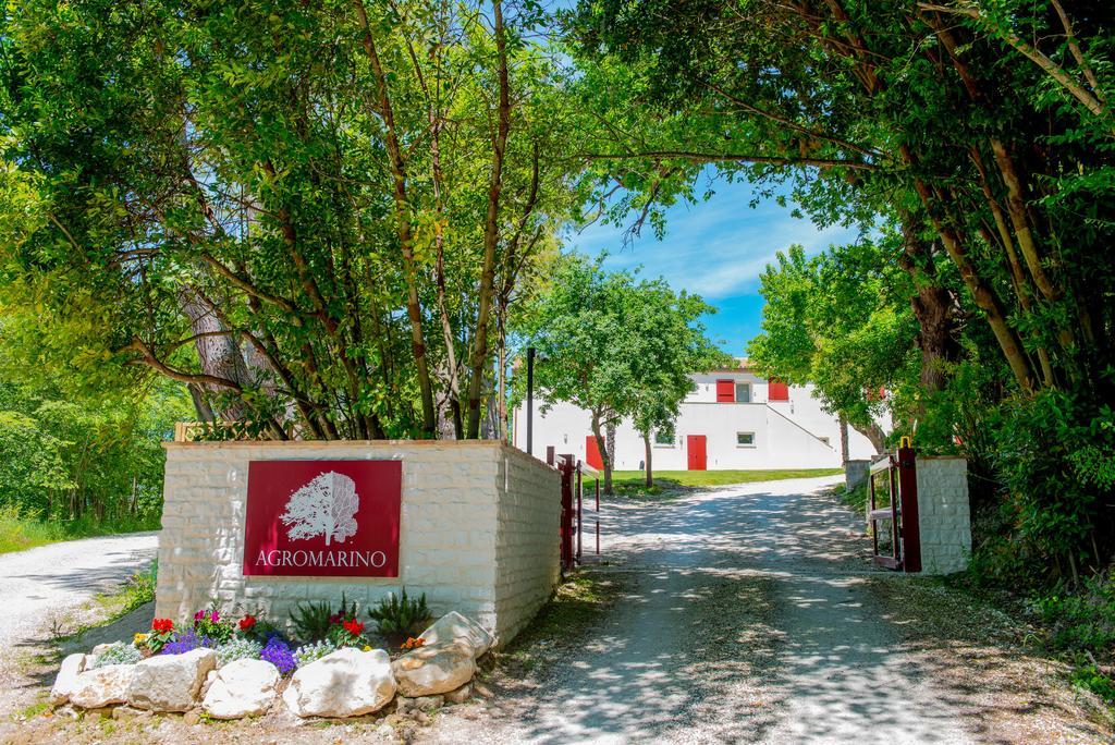 Agromarino Bed and Breakfast Sirolo Εξωτερικό φωτογραφία